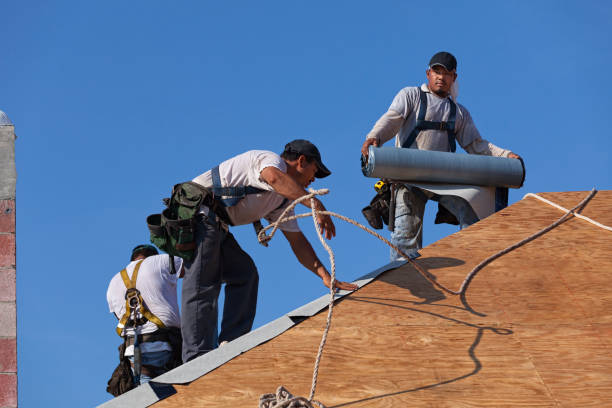 Best Commercial Roofing Services  in Springdale, NC